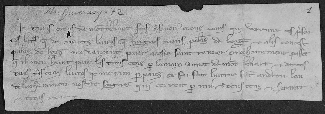 Ms Duvernoy 72 - Chartes diverses. (7 décembre 1263-26 avril 1396)