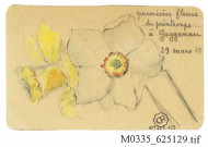 Premières fleurs de printemps à Gaggenau, dessin de Lou Blazer