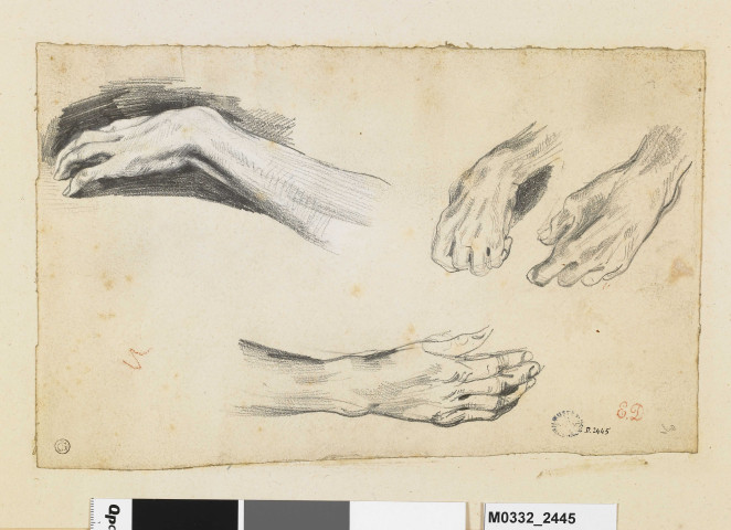 Etudes : trois mains gauches et une main droite