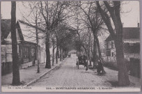 Montrapon-Besançon. - L'Avenue [image fixe] , Besançon : Edit. C. Lardier, 1915/1930