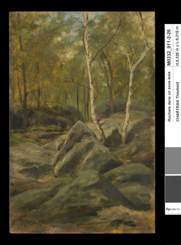 Rochers dans un sous-bois