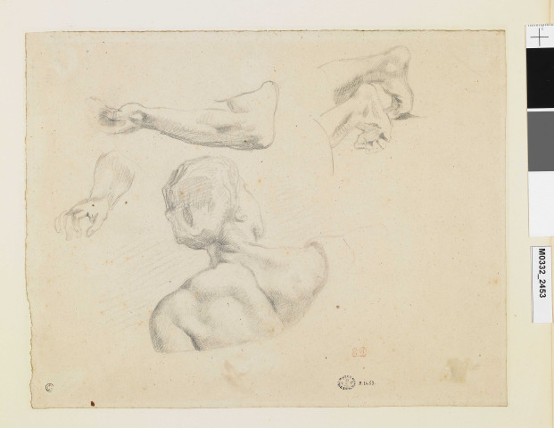 Feuille de croquis : le torse d'un berger de "La lutte de Jacob et l'Ange" ; main et bras, deux pieds