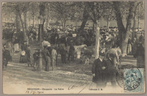 Besançon - Chamars - La Foire [image fixe] , 1904/1906