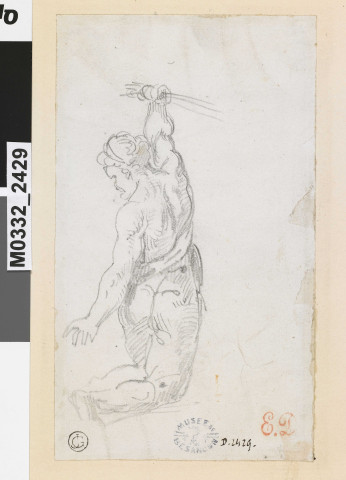 Torse d'homme vu de dos