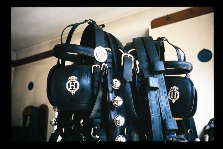 Haras nationaux de Besançon : harnachement et sellerie.