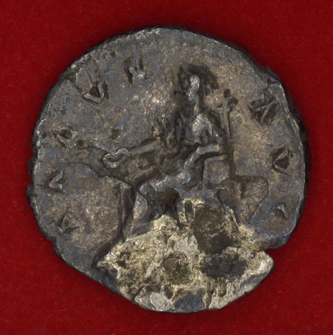 Mon 1371 - Vespasien