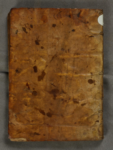 Ms 384 - « Compendiosa enarratio in quartum Decretalium, ex amplis doctissimi Covarruviae commentariis »