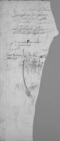 Ms 982 - Annales rectorum et matricula Universitatis Dolanae, ab anno 1498 ad annum 1525 (exceptis annis 1504, 1511, 1517)