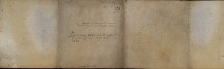 Ms 1296-4 - Testaments provenant de l'officialité de Besançon : 1638