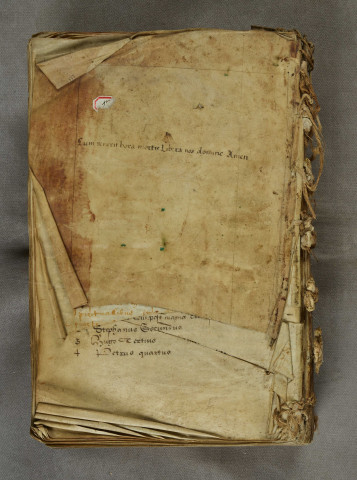 Ms 776 - Martyrologium et regulae liber, ad usum abbatiae Montis Sanctae Mariae, Cisterciensis ordinis, Bisuntinae diocesis