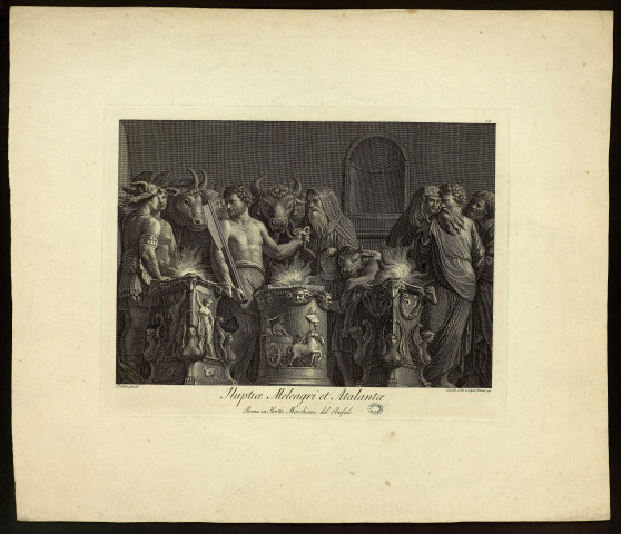 Nuptice Meleagri et Atalantrae [image fixe] / Polidoro pinxit ; Camillo Tinti sculpsit Romae 1772 , Romae : , 1772