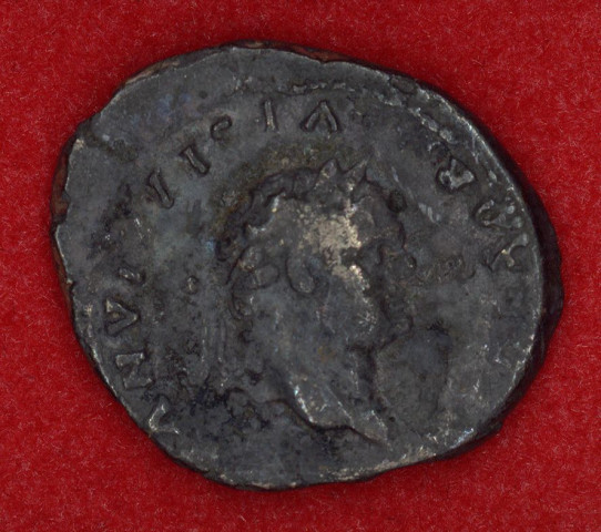 Mon 1398 - Vespasien