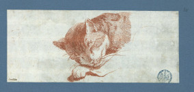 Tête de chat / Joseph-Barthélémy Le Bouteux , [S.l.] : [J.-B. Le Bouteux], [1700-1800]
