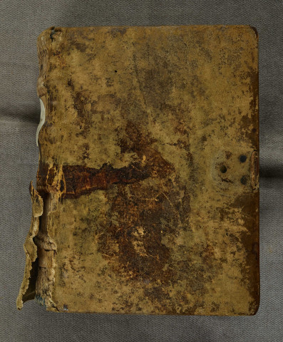 Ms 44 - Ψαλτήριον