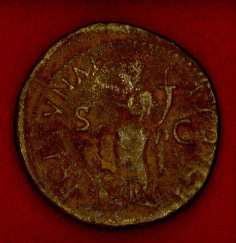 Mon 2104 - Vespasien